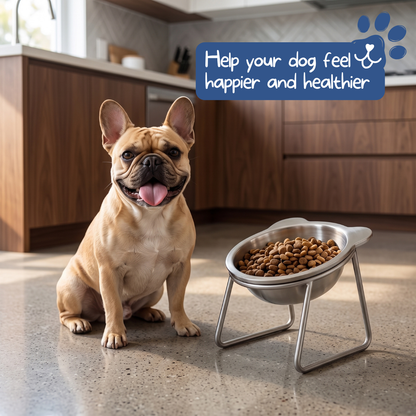 ⏳Time-Limited Special⏰Halloween 🥣15° Tilted Orthopaedic Feeding Bowl