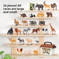 🦖 Spar 50 %! 🌍 28 dyremodeller – realistiske figurer for å utforske en fantasiverden ✨