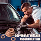 ⏳🔥 TIDSBEPRENSET 50 % RABATT! ⏰🔩 Assortiment med 100/200 kobberpakninger – flate tetningsskiver med oppbevaringsboks 📀