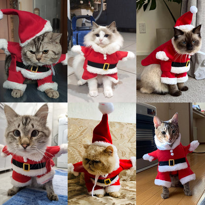 ⏳Kun for en kort tid – 50% RABATT ⏰Høst- og vinterjuleklær for hunder og katter