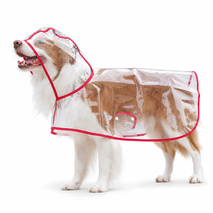 📢Nyheter 50% RABATT🐕 Gjennomsiktig vanntett regnjakke til hund – Hold hunden tørr og synlig på regnturer 🌧️